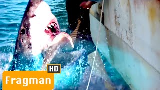 Denizin Derin Yaratıkları - 47 Meters Down Uncaged