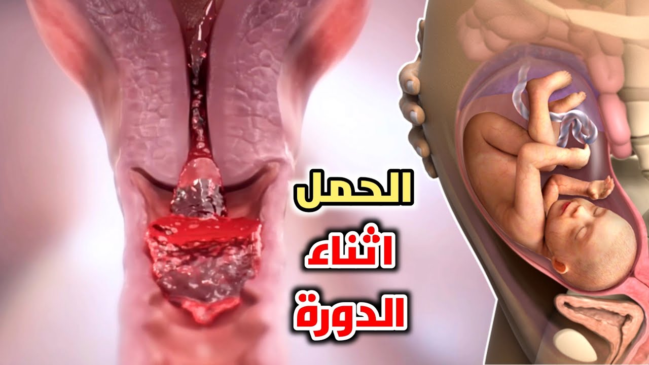 شاهد كيف يحدث الحمل اثناء الدوره الشهريه_ How does pregnancy occur during menstruation