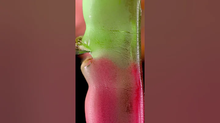 Gummy Worm Vs Hot Knife Close Up #shorts #satisfying #closeup