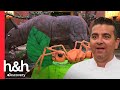 Asombrosas réplicas de animales hechas en pastel | Cake Boss | Discovery H&H