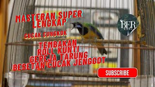 CUCAK CUNGKOK MATERI ROLL KUNTI, GEREJA TARUNG, JENGGOT, ISIAN DIJAMIN KASAR COCOK UNTUK MASTERAN