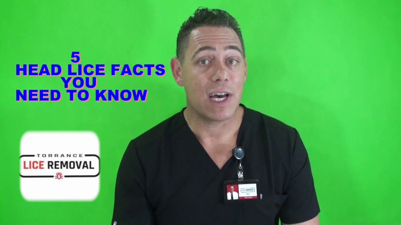 5 Head Lice Facts YOU Need to Know - YouTube