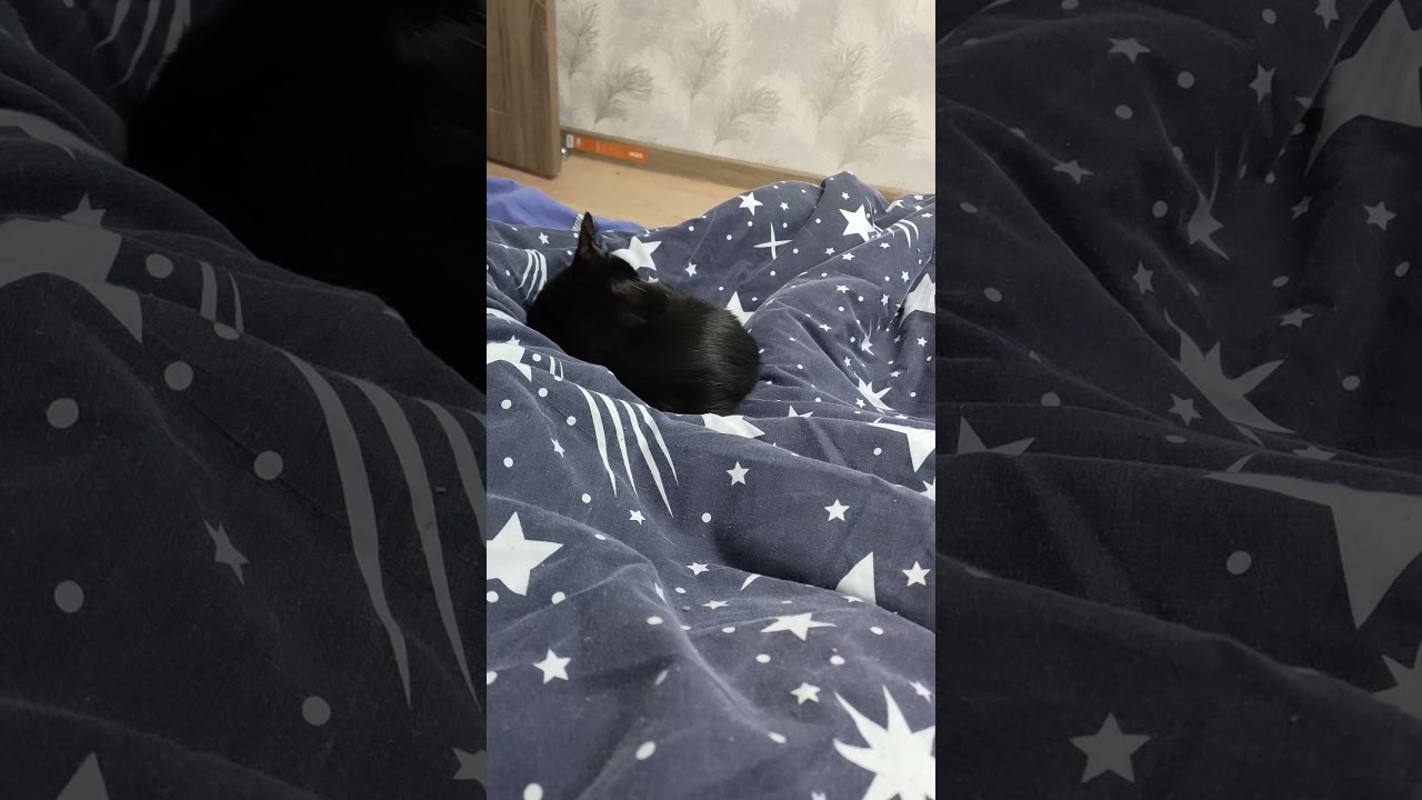 У Аленки там занятия, я тут буду спать )) 