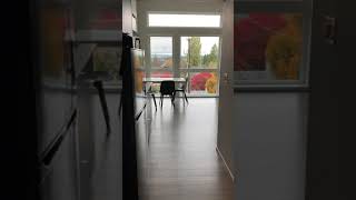 Phinney Flats 411