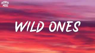 Flo Rida Ft Sia  Wild Ones s