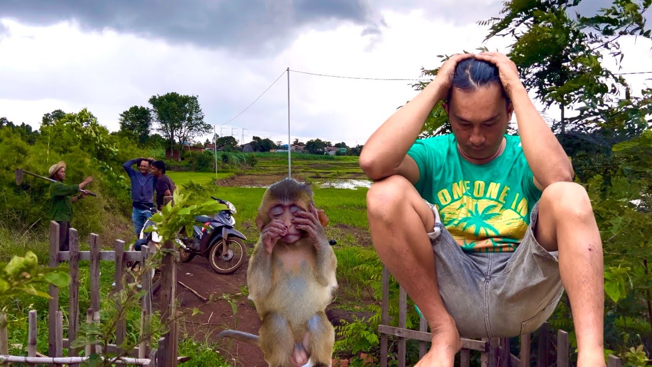 The bad neighbors came to cause trouble again, forbidding Sơn from walking on his land.