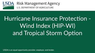 HIP WI and Tropical Storm Option 2024
