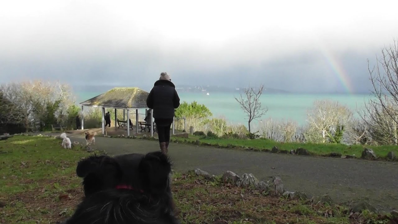 Bear's Bites 02/01/2026 Part 3 of 3