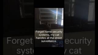 Sasta CCTV