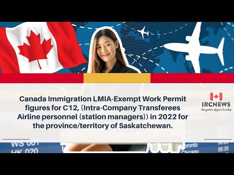 Canada LMIA-Exempt Work Permit (C12) | Intra-Company Transferees Stats for Saskatchewan (2022)