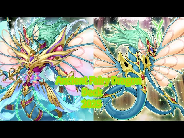 yugioh ancient fairy dragon deck Luna & Dragon! Yu-Gi-Oh! 5D's Quarter Century Secret Rare Super Rare Token. #yugioh #yugiohtcg #yugiohcards #raritycollection #7itemstone Tuner monsters During your Main Phase Yugioh Ancient Fairy Life Dragon