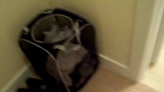 Alex Texas Apartment