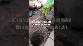 Suami Pekerja Keras viral