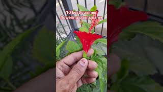 10 best summer flowering plants name#plants#gardeningideas#ytshorts