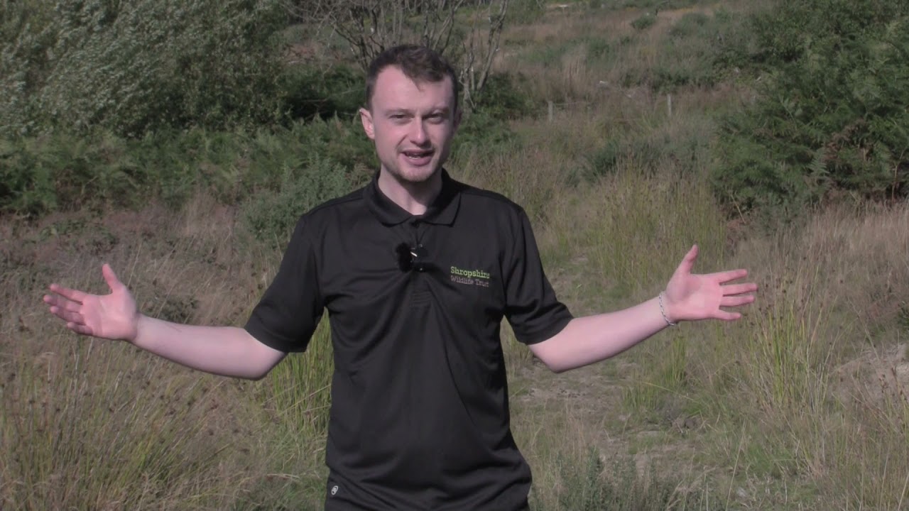 What is a Nature Recovery Network?