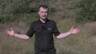 What is a Nature Recovery Network?