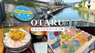 【Hokkaido Trip】小樽観光とちょっとニセコを楽しむ旅｜夏休み screenshot 5