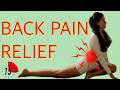 15 MIN BACK PAIN RELIEF - Fix Stiffness & Lower Back Pain (No Equipment)