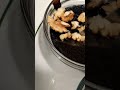 برواني الموز والجوز بالمايكروويف تحفة من وصفة عافية اكسبلور اكسبلور فولو اكسبلور Explore 