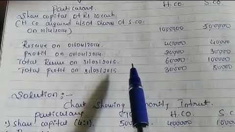 Holding Company (Minority Interest) lecture1