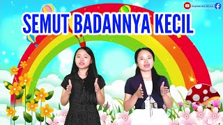 SEMUT BADANNYA KECIL | PERBAKTIAN ONLINE (ZOOM)