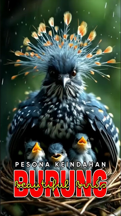 A Mother's Love Never Fades #birds