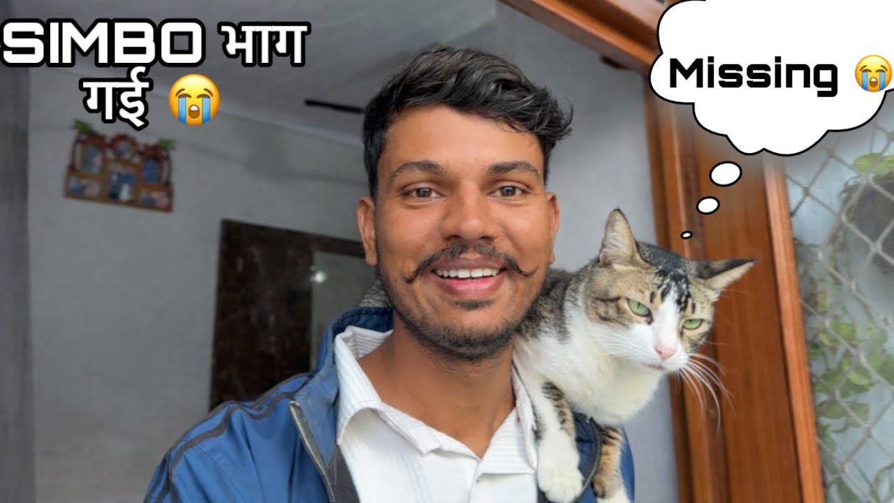 मेरी सिंबो घर से भाग गई 😭 My Pet Cat Simbo Is Missing 😢 Yayawar Vlogs