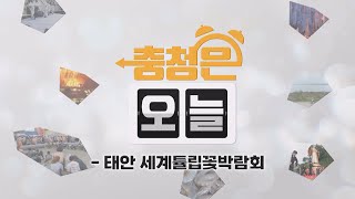 태안 세계튤립꽃박람회 / KBS대전 20240424 방송