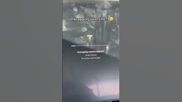 Tesla Sent Me Software Update For Valentines Day?! 🤔💝
