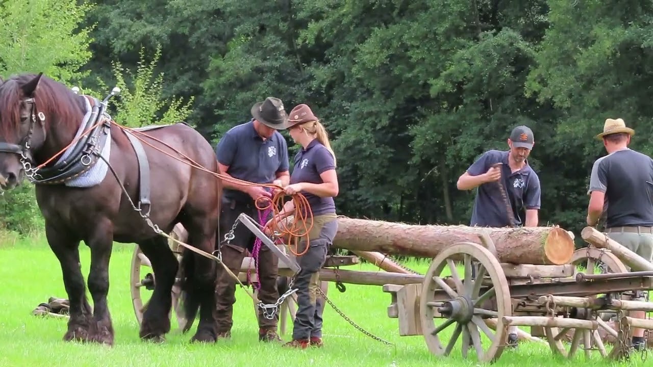Neusather Rosstag 2025