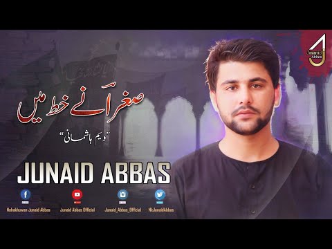 junaid-abbas-|-new-noha-|-tarap-kay-sughra-s.a-ne-|-(official-video)-|-2019/1441-|-muharram