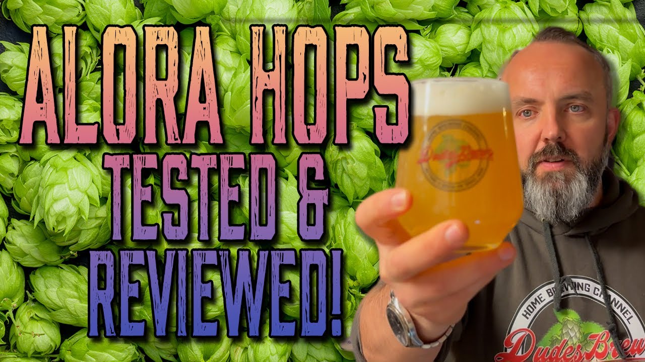 Дегустация хмеля Alora в сессионном светлом эле | Обзор вкуса, дегустационная комиссия и результаты