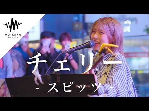 【歌うま】綺麗な歌声に吸い寄せられるように足を止めた歌声が最高だった!! チェリー / スピッツ （Covered By 鈴木萌花）