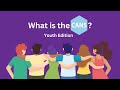What Is The CANS Youth Edition What Is The CANS Youth Edition