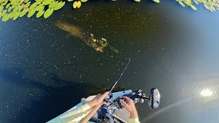 видео: Осенняя рыбалка на гигантскую щуку! картинка: Осенняя рыбалка на гигантскую щуку!