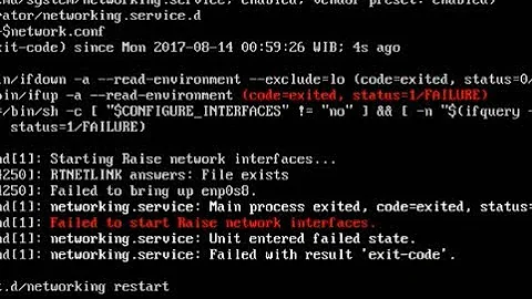 Ubuntu server error - RTNETLINK answers: File exists, Failed to bring up enp0s8