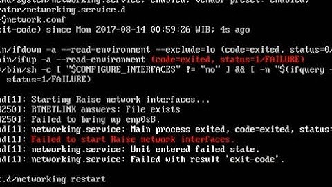 Ubuntu server error - RTNETLINK answers: File exists, Failed to bring up enp0s8