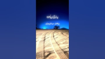 #لا_اله_الا_الله #المصحف #تلاوة_خاشعة #قرآن #محمد_ايوب تلاوه من سورة الاحزاب بصوت الشيخ محمد أيوب