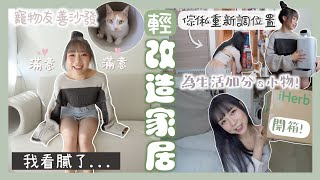 【VLOG】輕改造家居🏠我看膩了⋯換新沙發🛋！寵物友善的AI🤖讓生活更加分的小物💯｜Kitling「合作」