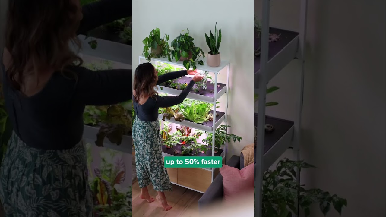 Find this awesome trial mentioned directly on our website risegardens.com