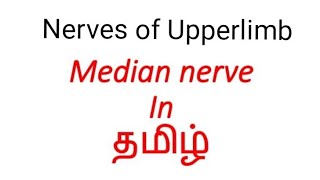 Median nerve in தமிழ் / Nerves of Upperlimb in தமிழ் / Arunachala Medical Encyclopedia