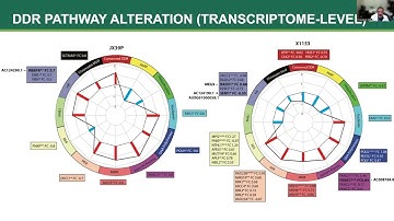 Long noncoding RNAs and targetable kinases and glioblastoma radiation resistance