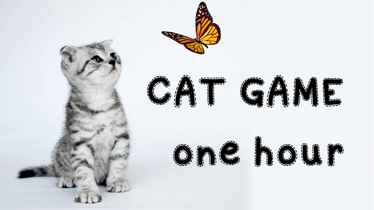 Cat GameCatch Flying Butterflies One Hour(For cats) YouTube