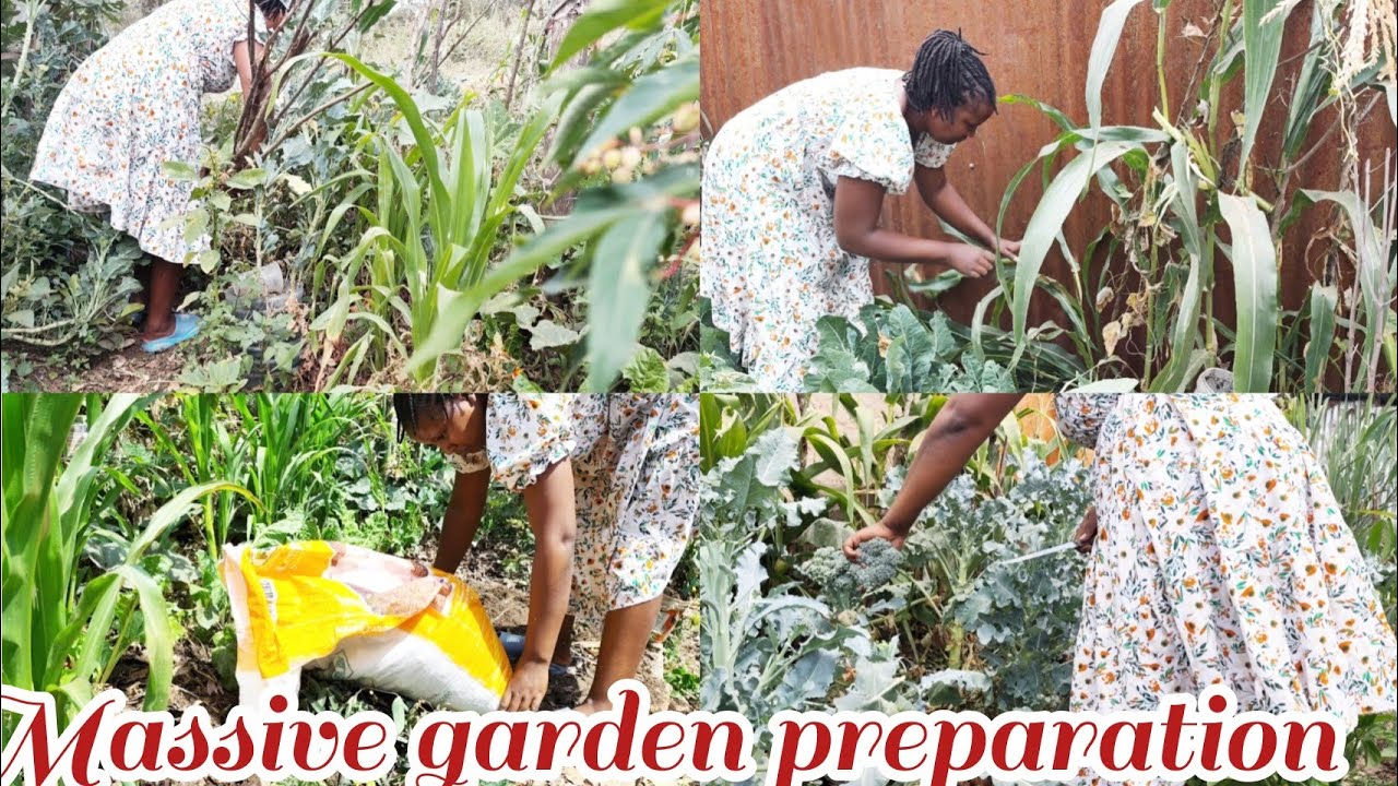 MASSIVE GARDEN REFRESH FOR A NEW SEASON 