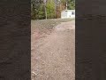 Live highlight