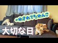 今日は何の日でしょう！！