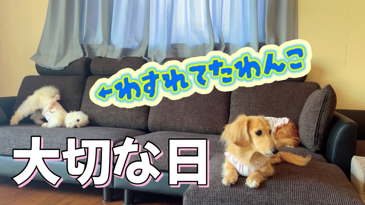 今日は何の日でしょう！！