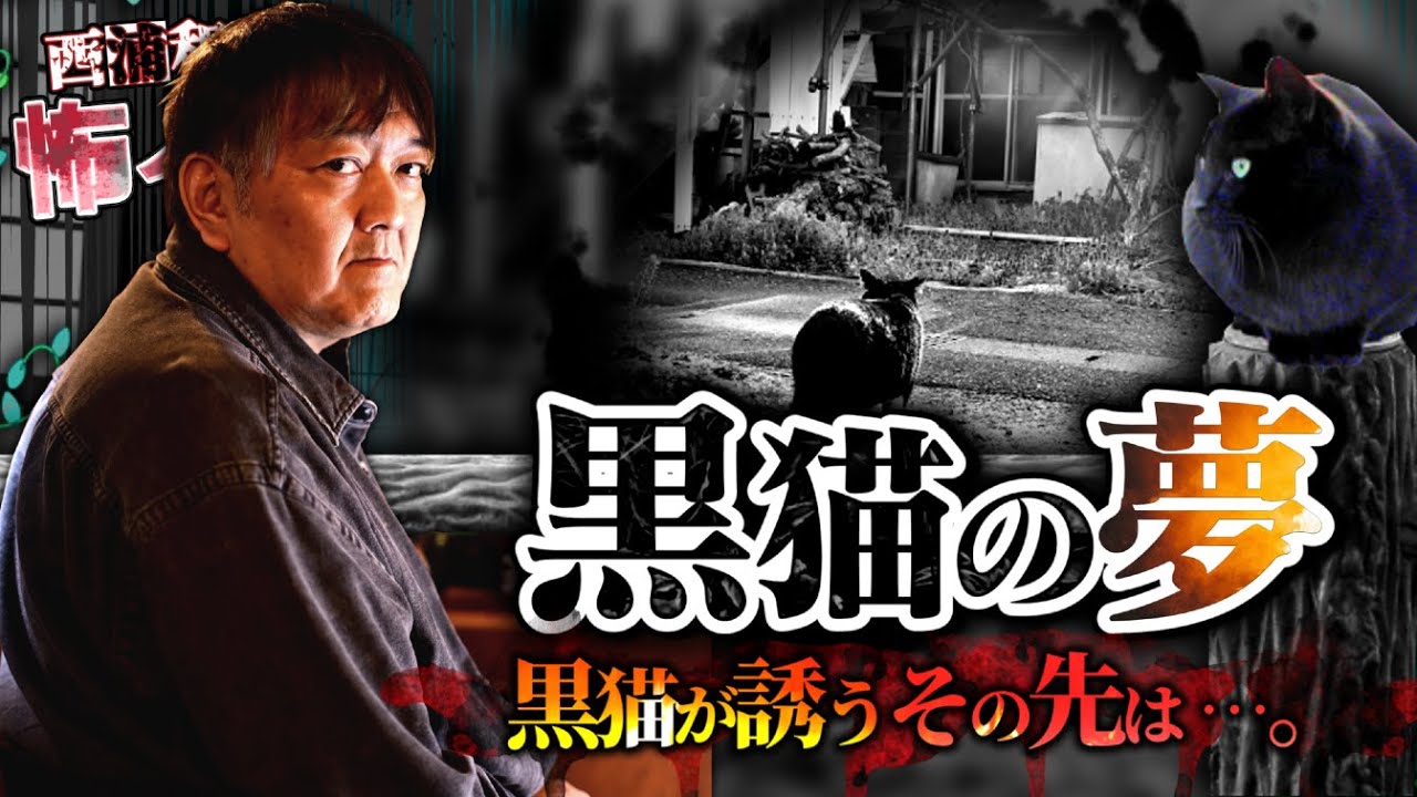 『黒猫の夢』黒猫が誘うその先は…。／西浦和也に聞いてみる／『西浦和也の怖イ話』