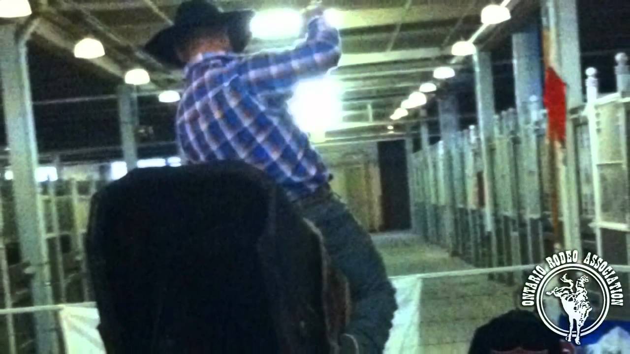 The Ontario Rodeo Association at Toronto Horse Day