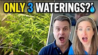 I Only Watered My Autoflower 3 Times in 46 Days—Here’s What Happened